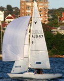 SailM8 - Training Sail, SM8-TS-Yngling Mainsail